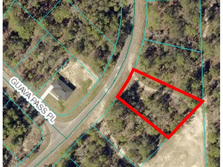 164 Guava Pass Ocklawaha FL 32179 OM698331 image1