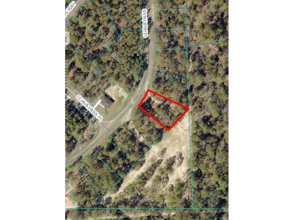 164 Guava Pass Ocklawaha FL 32179 OM698331 image2