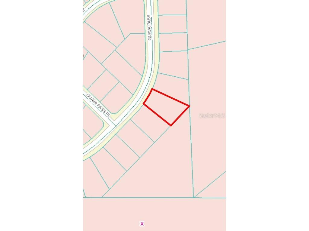 164 Guava Pass Ocklawaha FL 32179 OM698331 image3