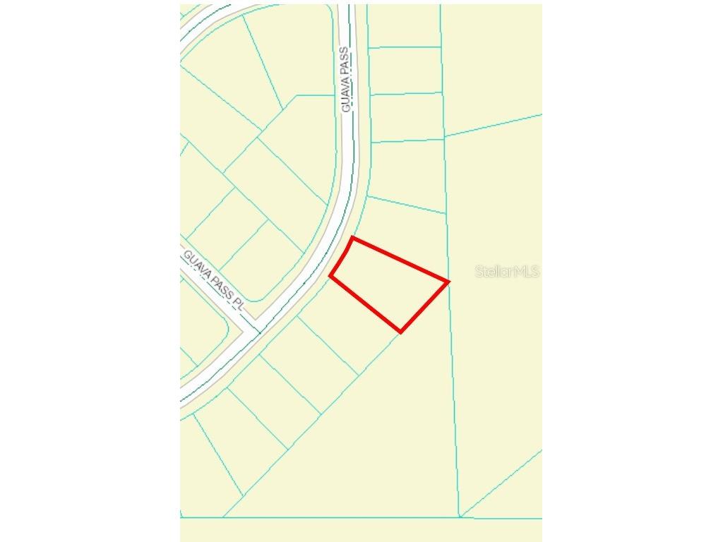 164 Guava Pass Ocklawaha FL 32179 OM698331 image4