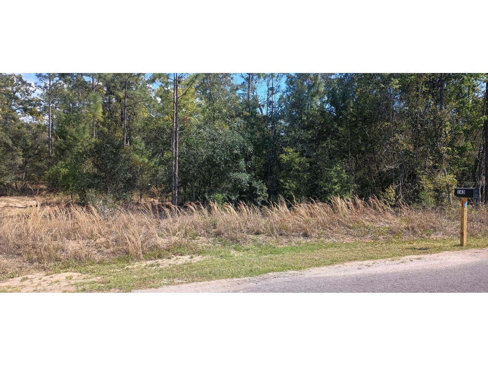 164 Guava Pass Ocklawaha FL 32179 OM698331 image5