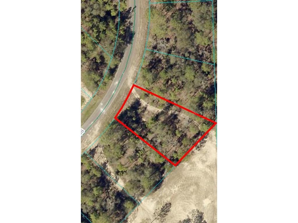 164 Guava Pass Ocklawaha FL 32179 OM698331 image6