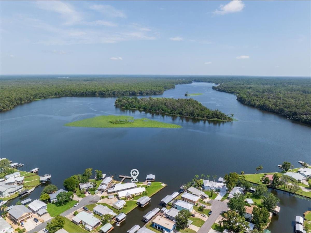 164 Moonlite Drive Welaka FL 32193 - ST JOHNS RIVER FC311427 image54