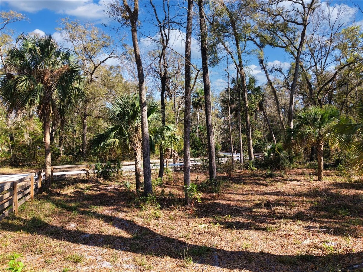 164 NE 293rd Avenue Old Town FL 32680 W7883863 image3