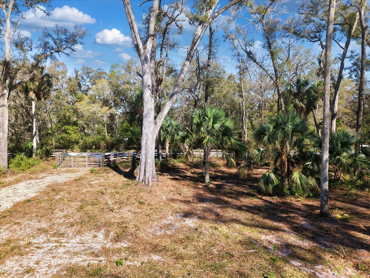 164 NE 293rd Avenue Old Town FL 32680 W7883863 image5