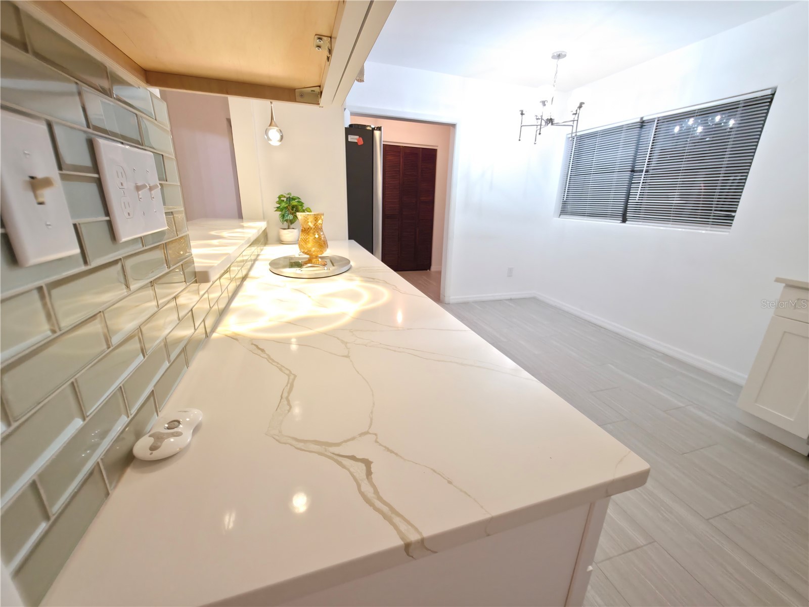 164 Pinewood Avenue Clearwater FL 33765 TB8517610 image20