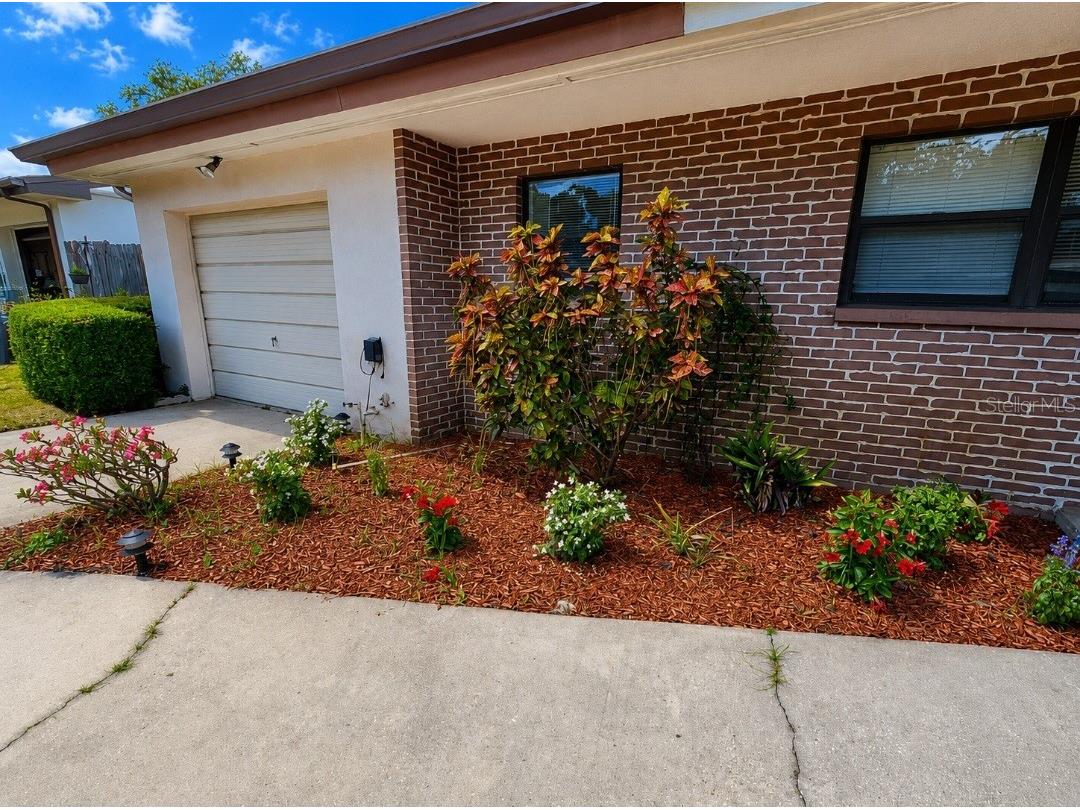 164 Pinewood Avenue Clearwater FL 33765 TB8517610 image58