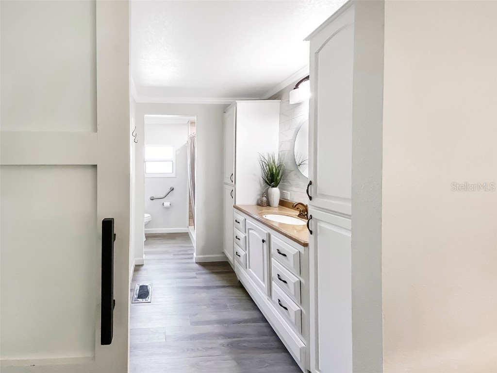 164 Royal Palm Drive Leesburg FL 34748 O6319637 image21