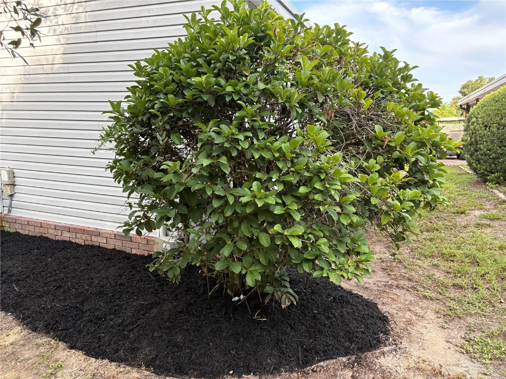 164 Royal Palm Drive Leesburg FL 34748 O6319637 image37