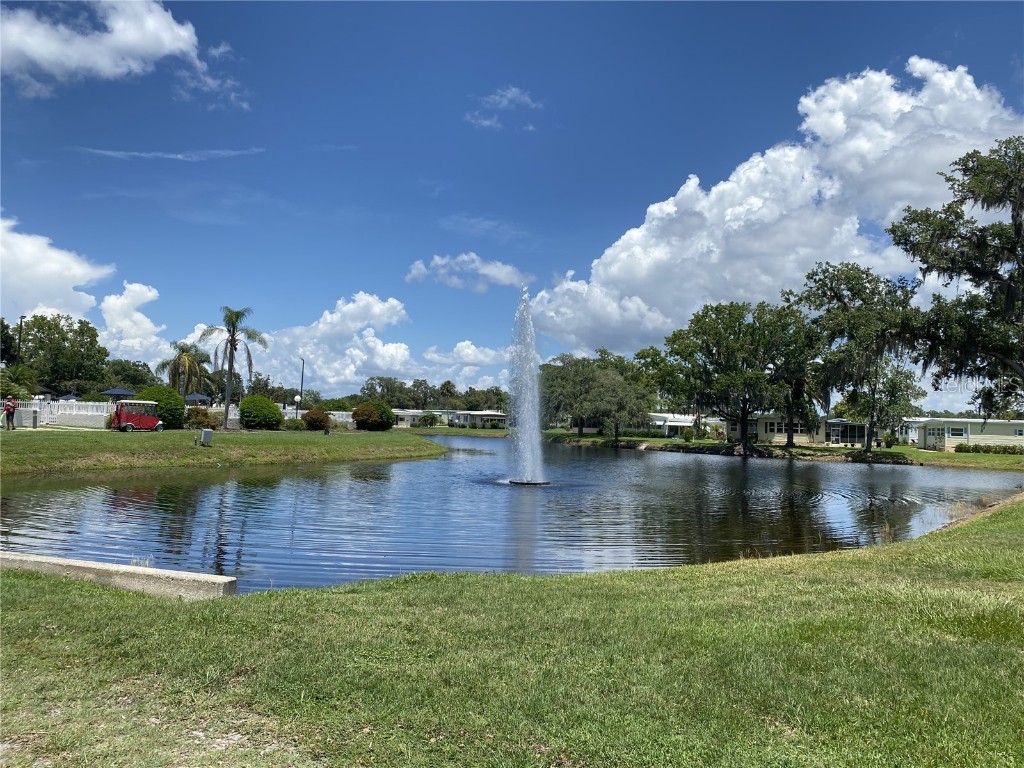 164 Royal Palm Drive Leesburg FL 34748 O6319637 image38