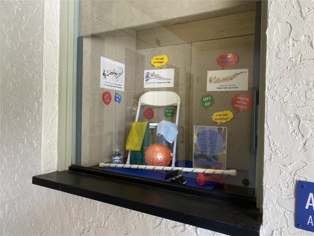 164 Royal Palm Drive Leesburg FL 34748 O6319637 image47