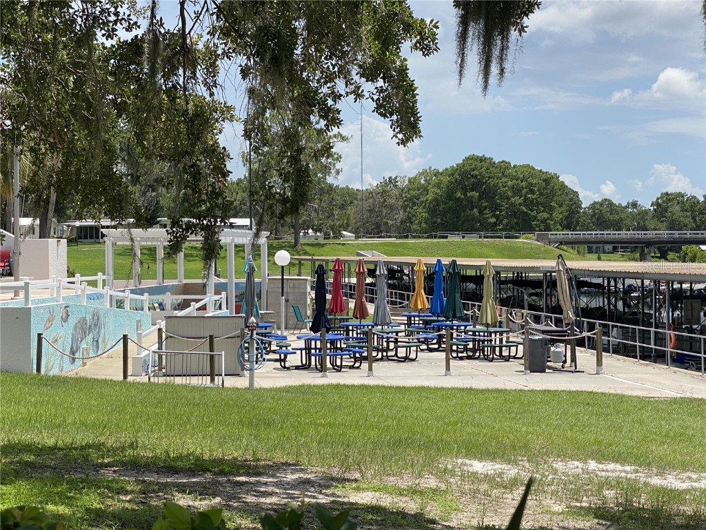 164 Royal Palm Drive Leesburg FL 34748 O6319637 image60