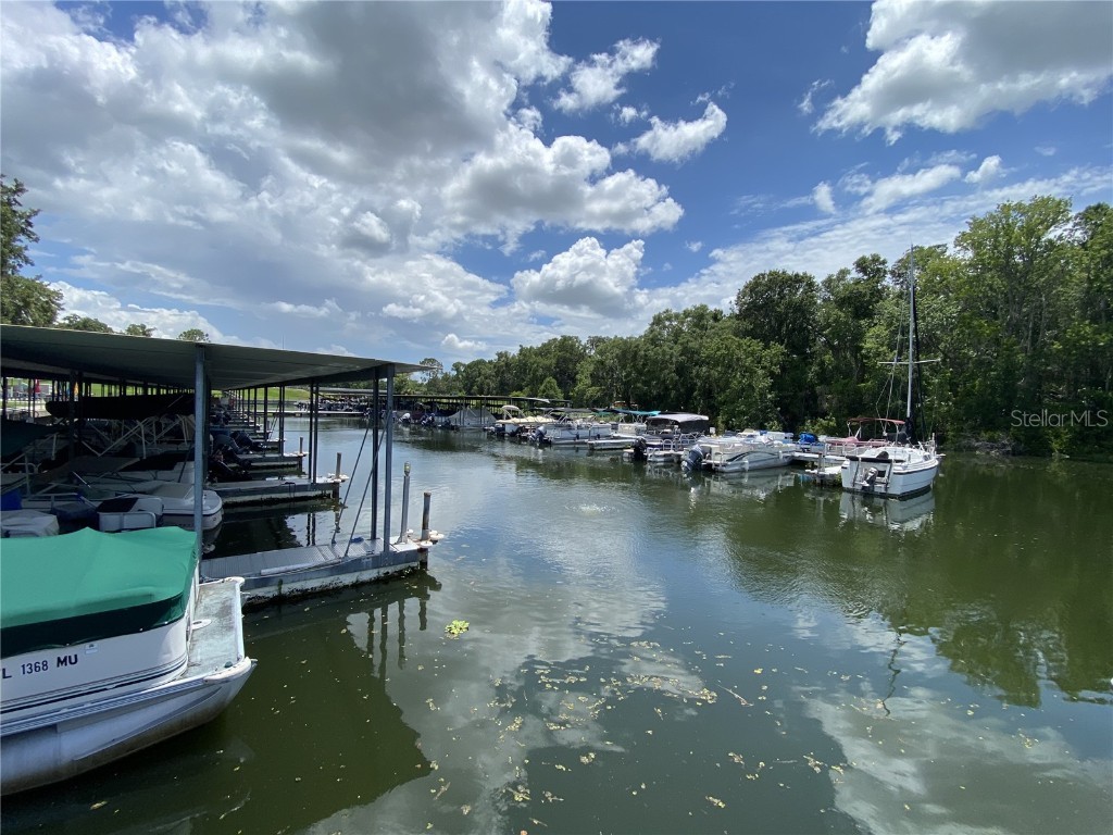 164 Royal Palm Drive Leesburg FL 34748 O6319637 image62