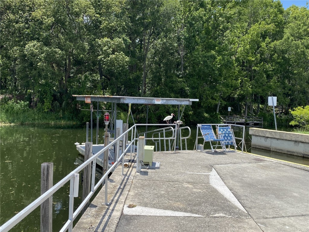 164 Royal Palm Drive Leesburg FL 34748 O6319637 image63