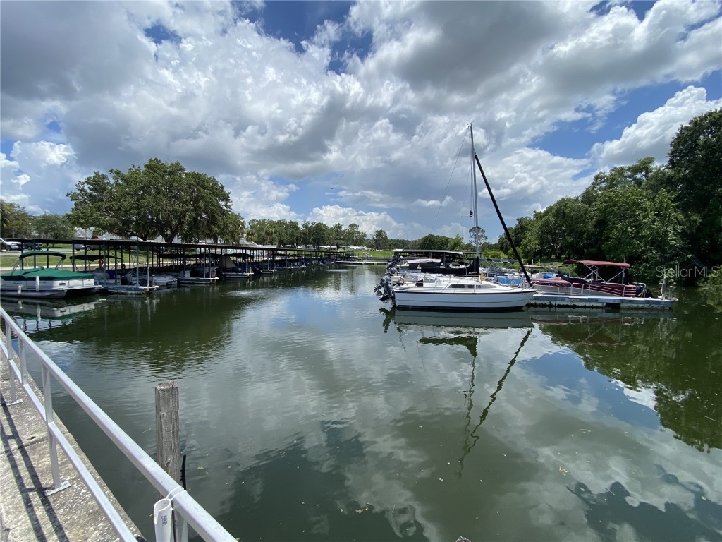 164 Royal Palm Drive Leesburg FL 34748 O6319637 image64