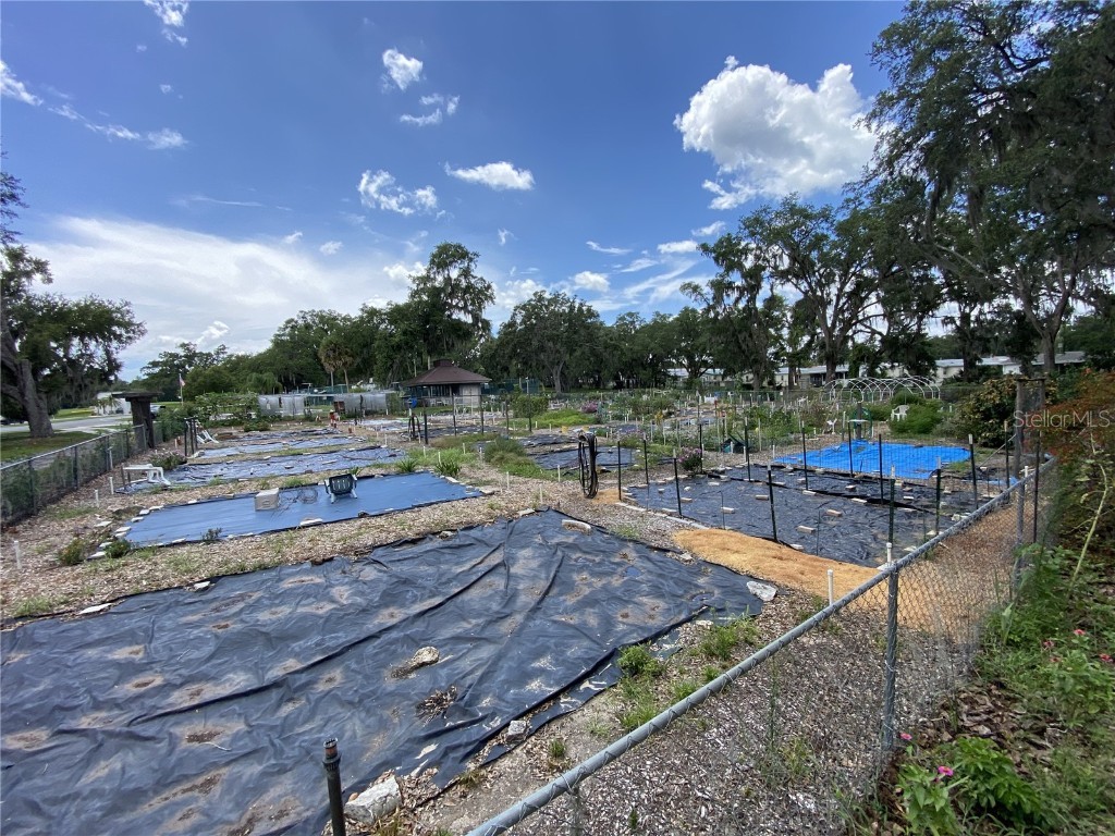 164 Royal Palm Drive Leesburg FL 34748 O6319637 image80