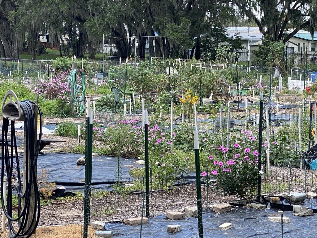 164 Royal Palm Drive Leesburg FL 34748 O6319637 image81