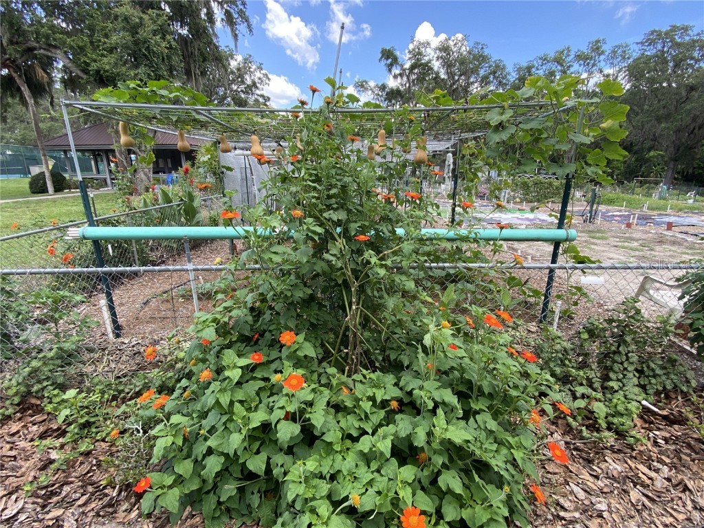 164 Royal Palm Drive Leesburg FL 34748 O6319637 image82