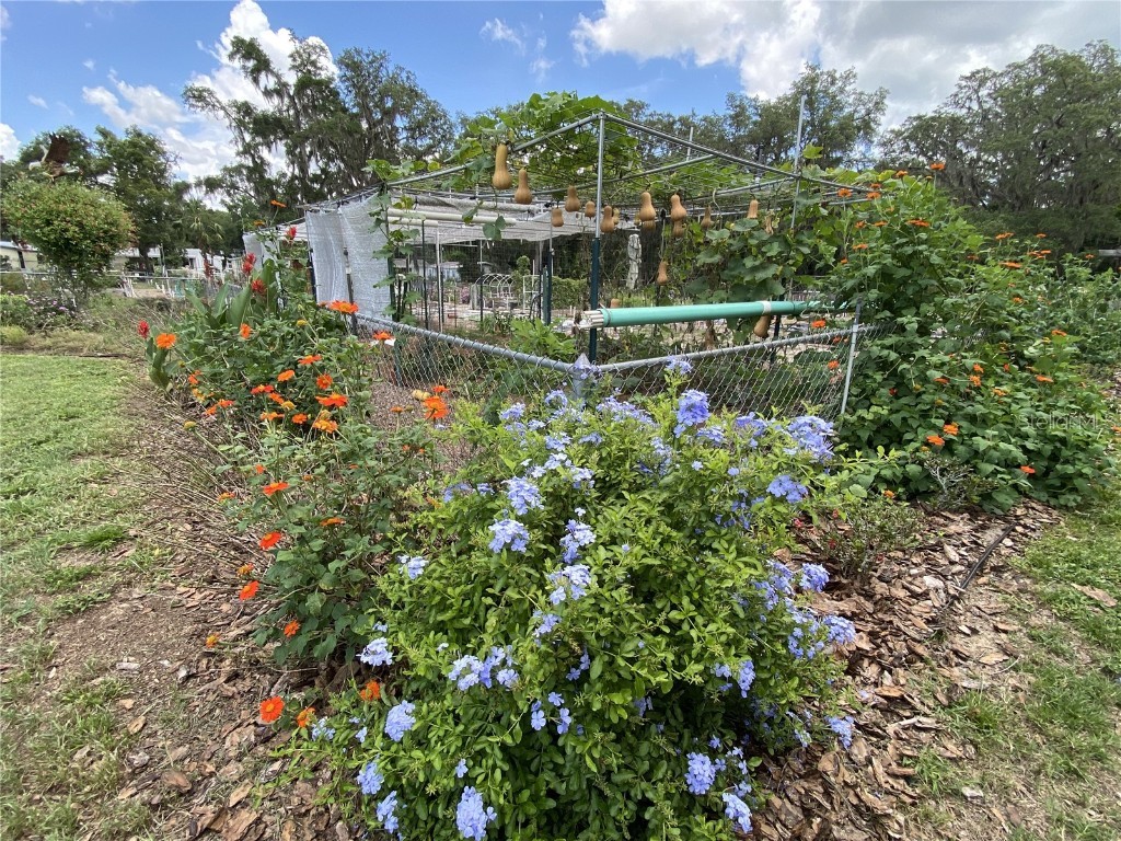 164 Royal Palm Drive Leesburg FL 34748 O6319637 image83