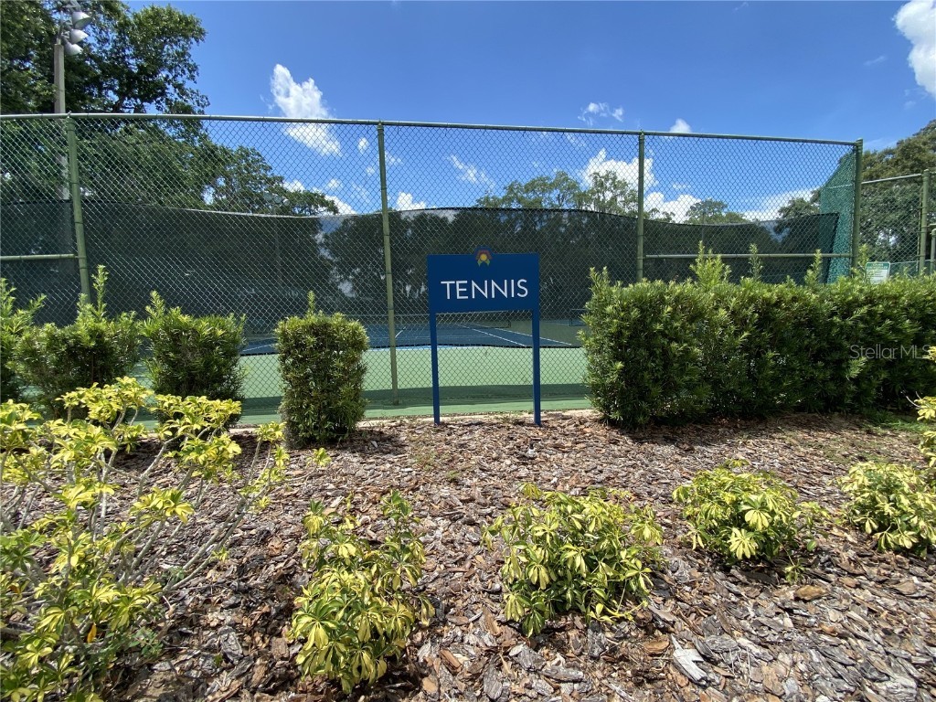 164 Royal Palm Drive Leesburg FL 34748 O6319637 image86