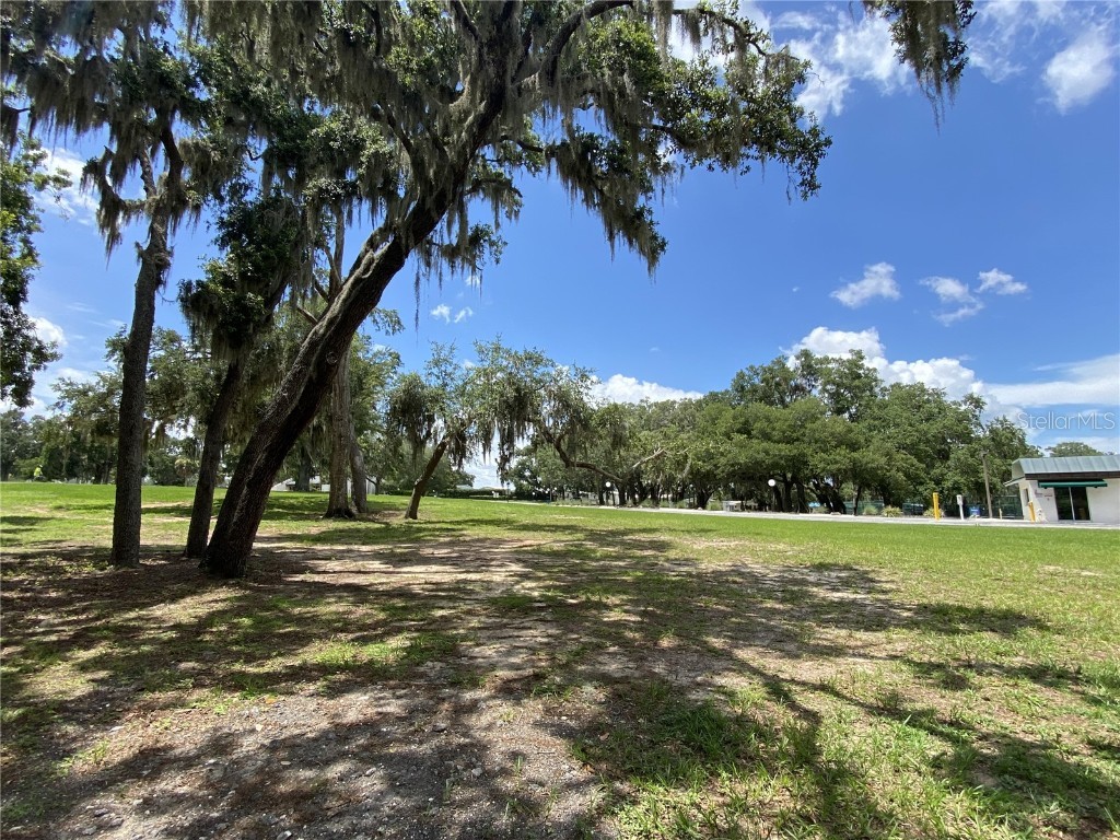 164 Royal Palm Drive Leesburg FL 34748 O6319637 image91