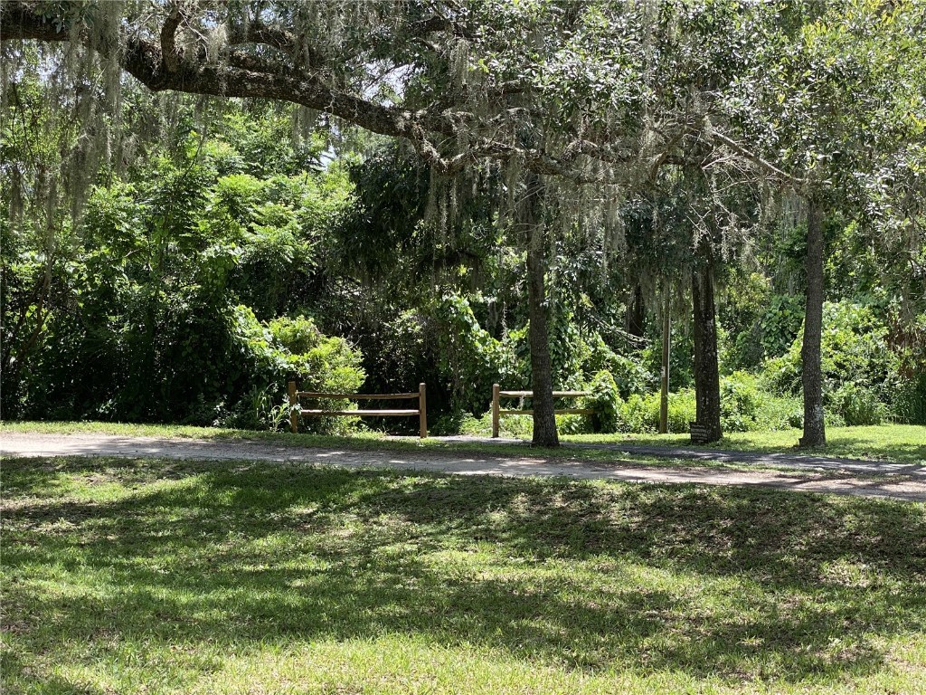 164 Royal Palm Drive Leesburg FL 34748 O6319637 image93