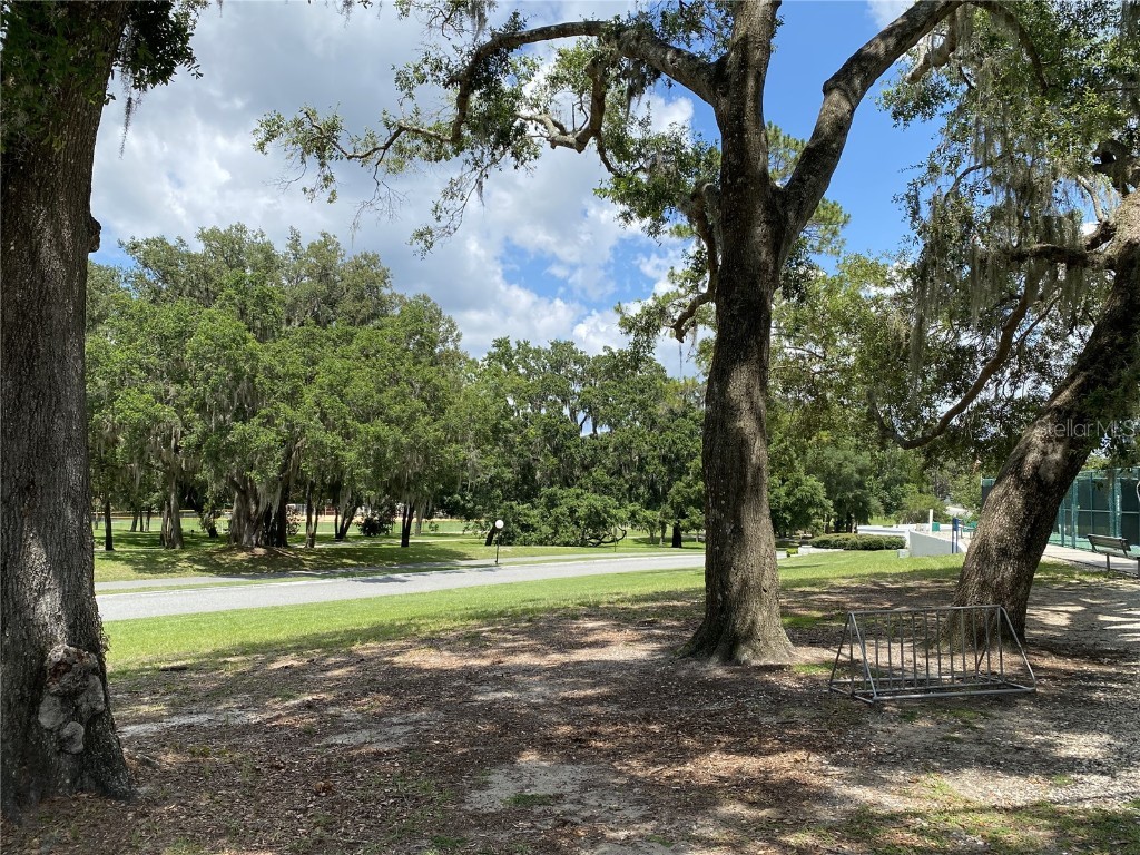 164 Royal Palm Drive Leesburg FL 34748 O6319637 image94