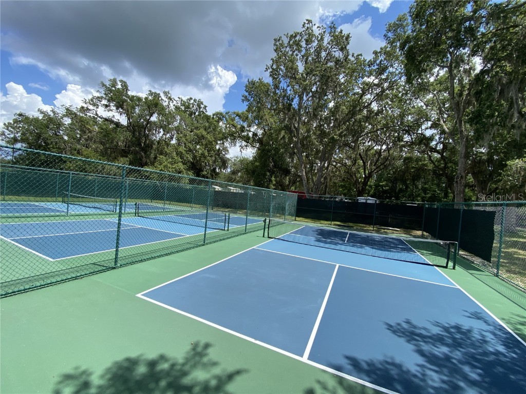 164 Royal Palm Drive Leesburg FL 34748 O6319637 image98