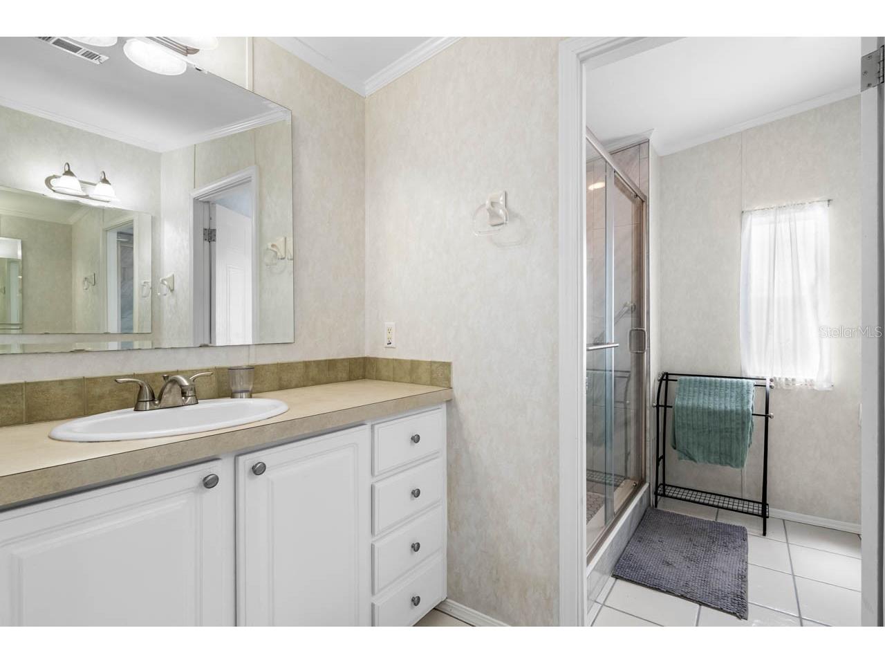 164 S Saint Thomas Circle Apollo Beach FL 33572 TB8502543 image18