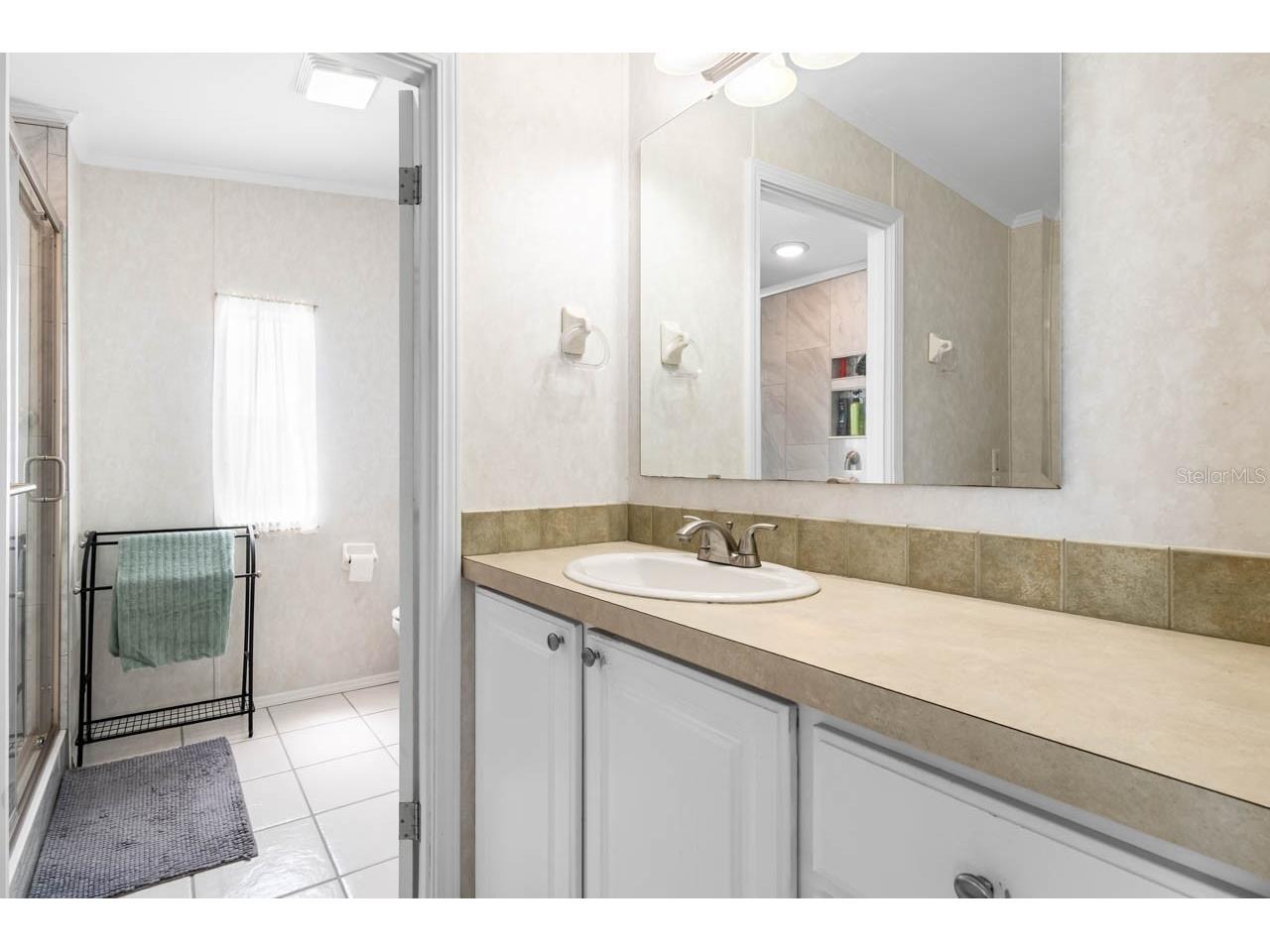 164 S Saint Thomas Circle Apollo Beach FL 33572 TB8502543 image19