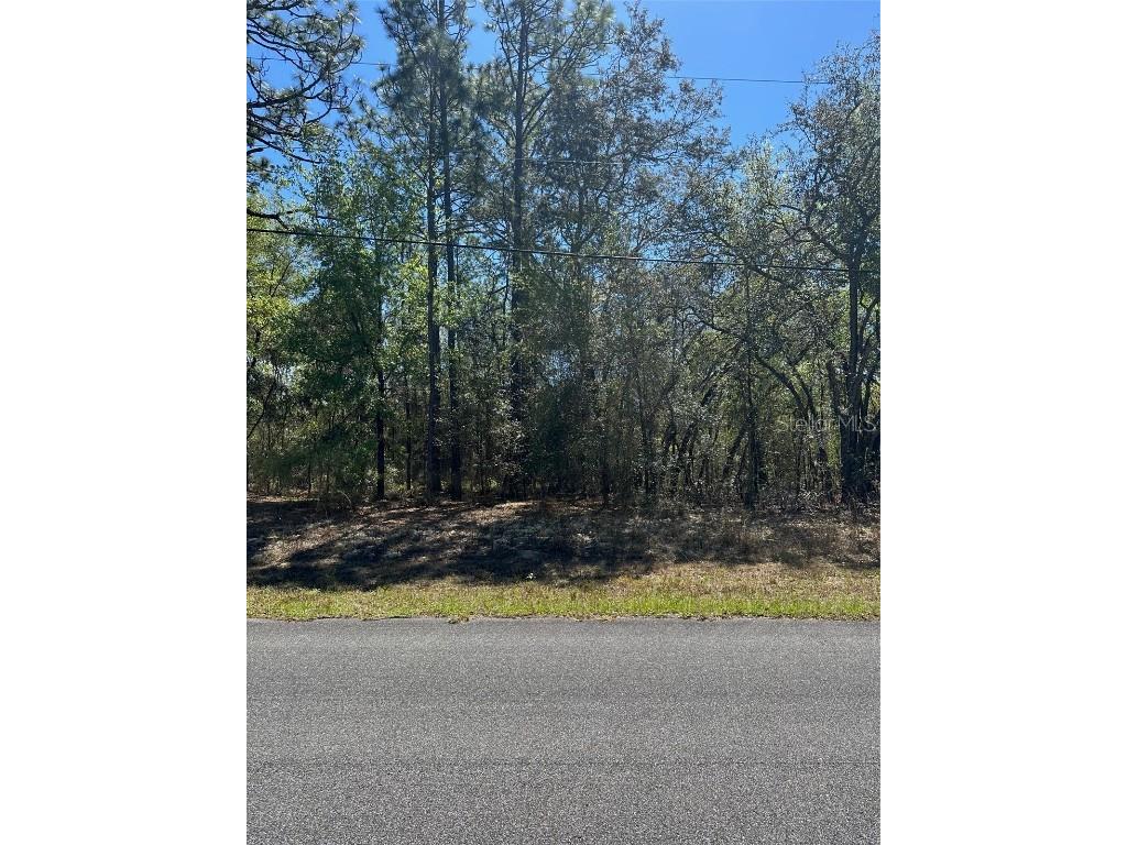 164 W Diego Place Dunnellon FL 34434 OM655420 image1