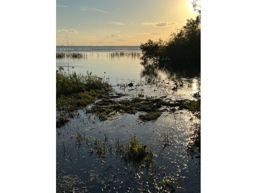 1640 Canopy Oaks Court Saint Cloud FL 34771 - LAKE TOHO O5937537 image1