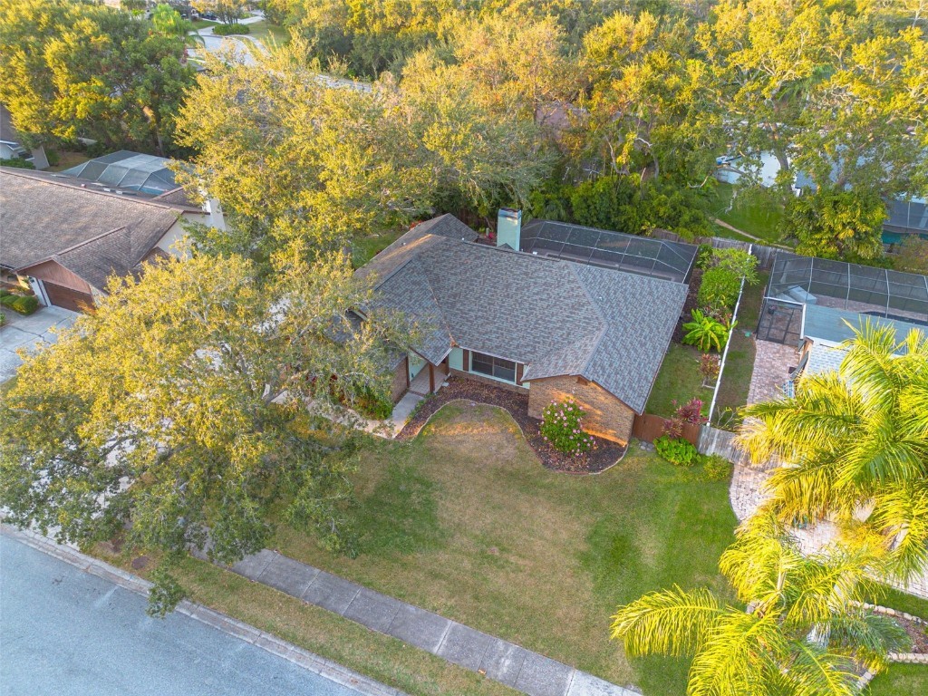 1640 Country Lane Dunedin FL 34698 TB8427741 image36