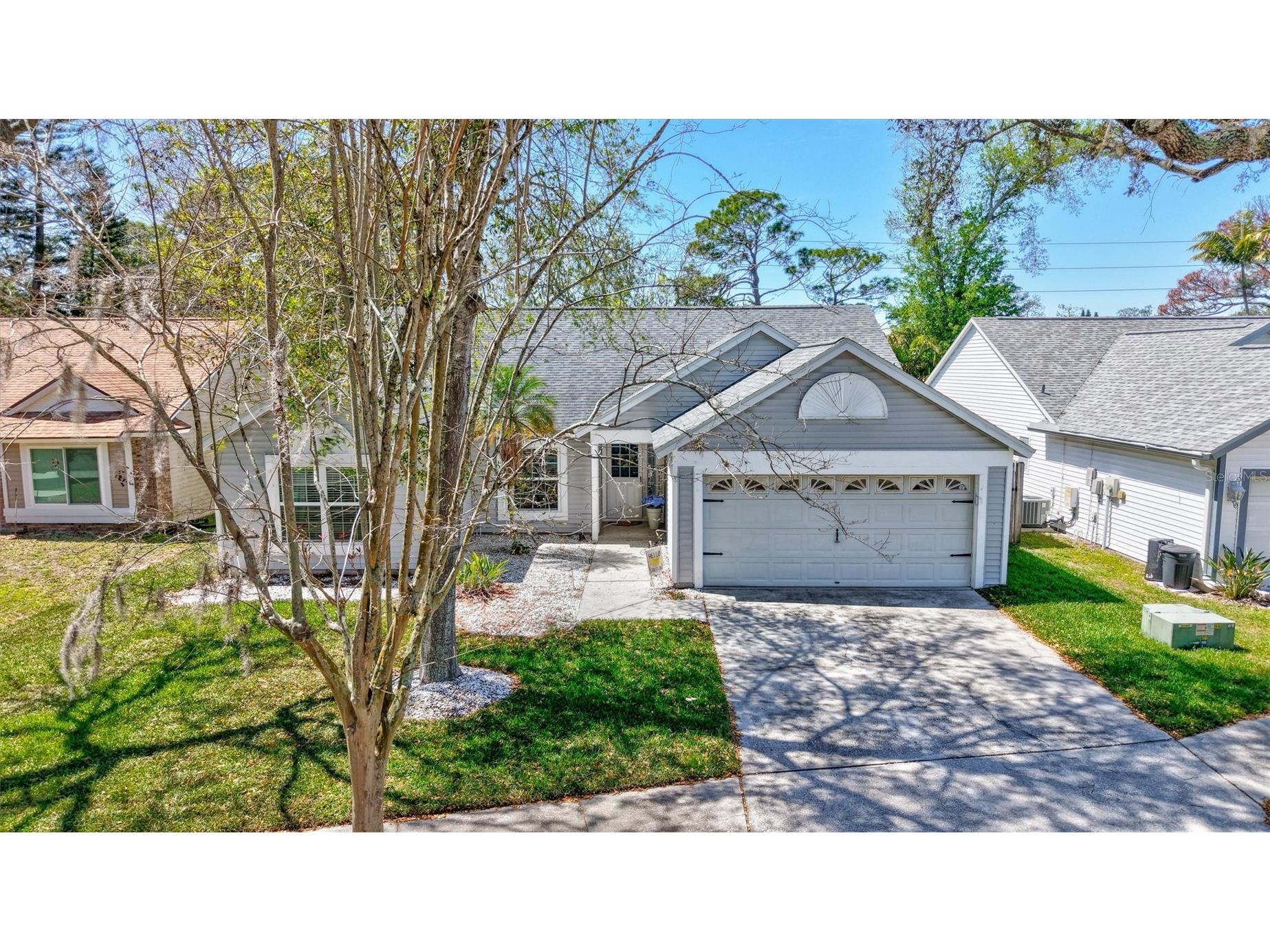 1640 Countrywood Street Tarpon Springs FL 34689 TB8488914 image3