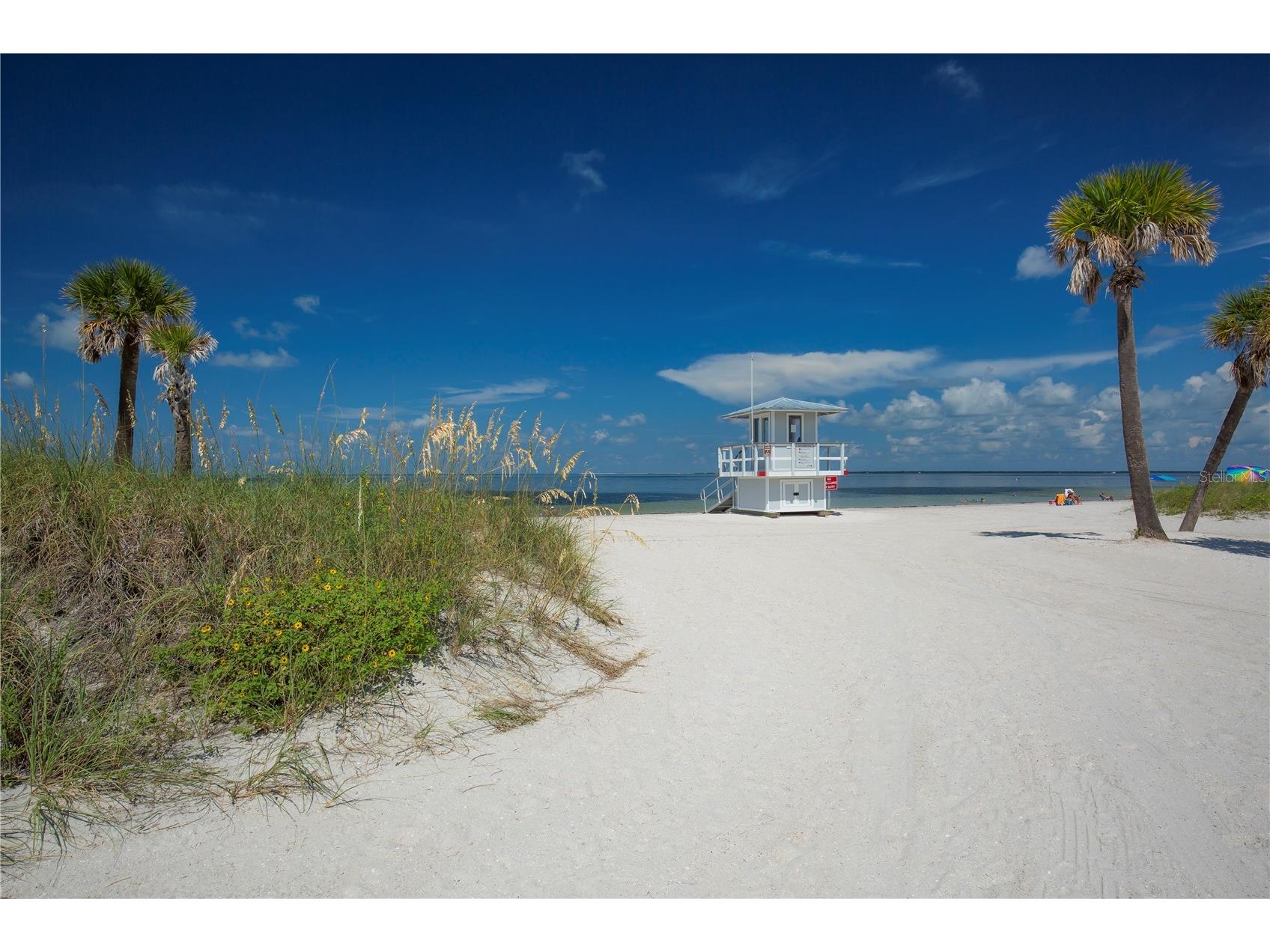 1640 Countrywood Street Tarpon Springs FL 34689 TB8488914 image47
