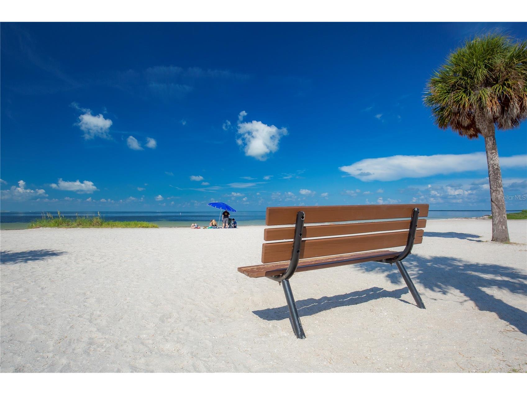 1640 Countrywood Street Tarpon Springs FL 34689 TB8488914 image49