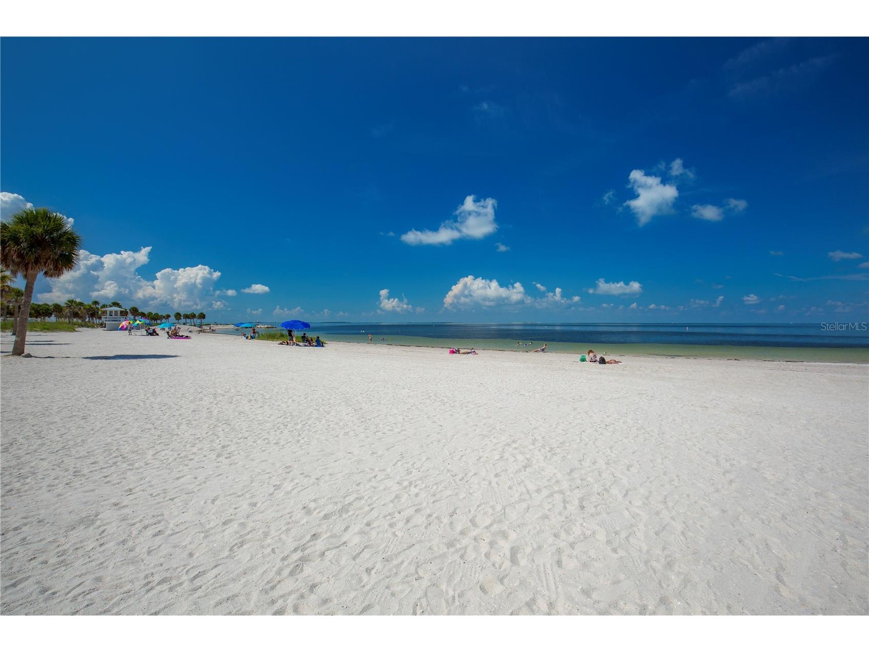 1640 Countrywood Street Tarpon Springs FL 34689 TB8488914 image50