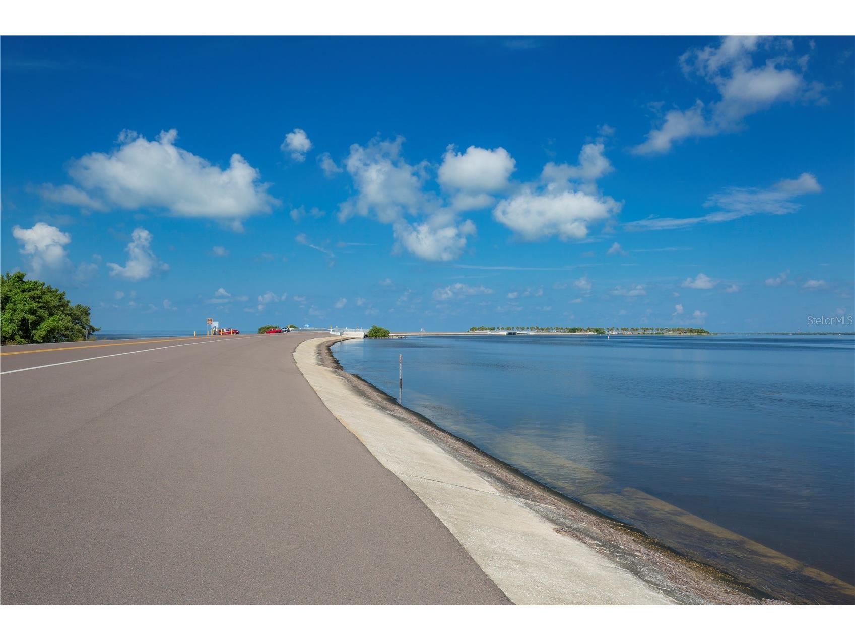 1640 Countrywood Street Tarpon Springs FL 34689 TB8488914 image52