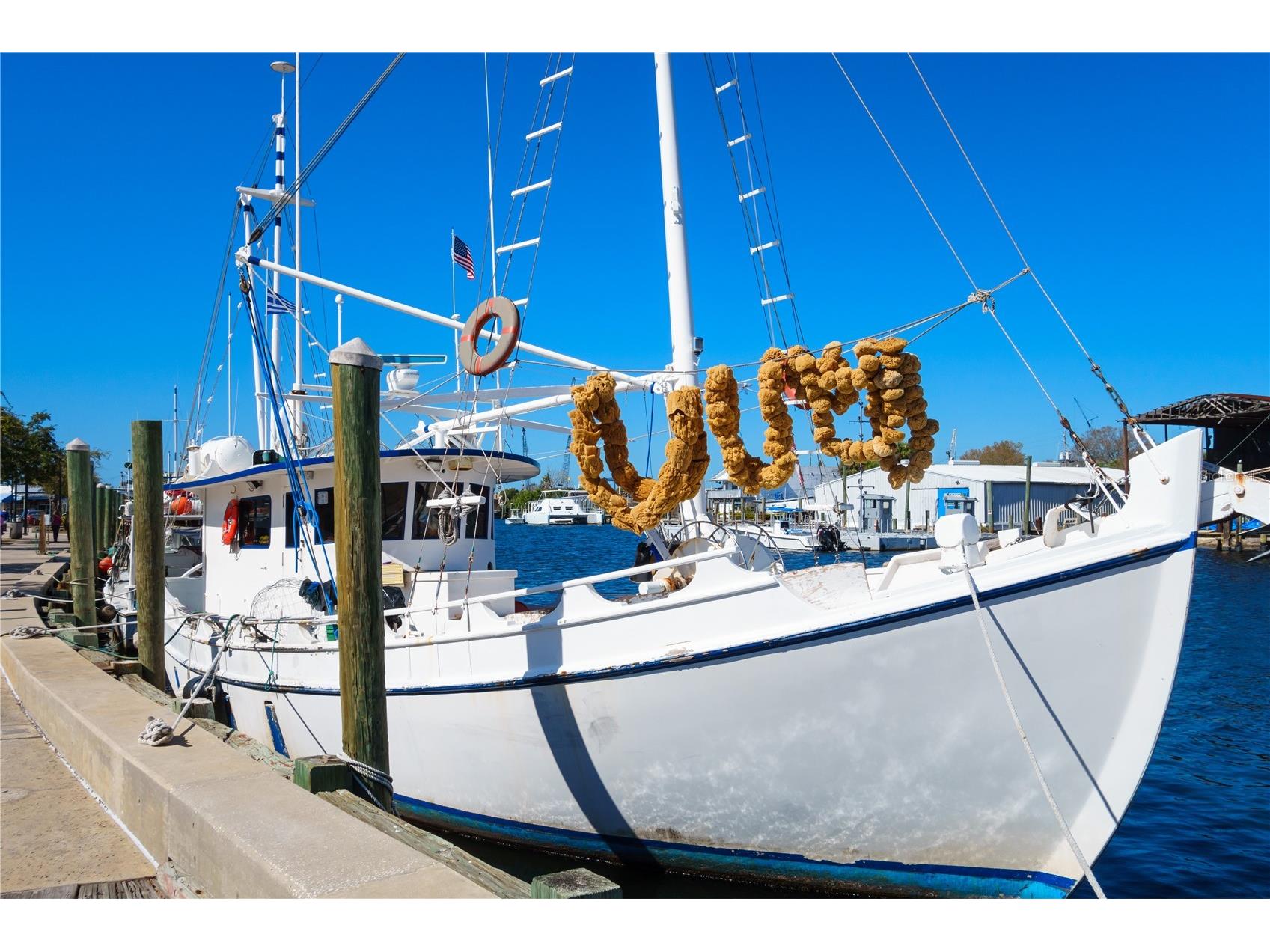 1640 Countrywood Street Tarpon Springs FL 34689 TB8488914 image54