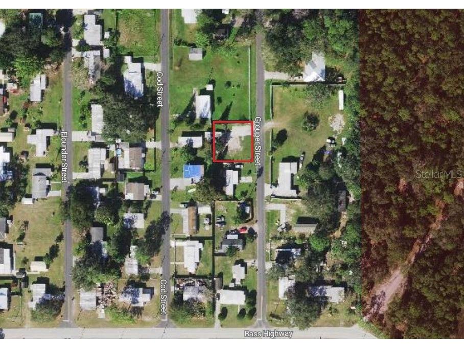 1640 Grouper Street Saint Cloud FL 34771 S5152948 image2