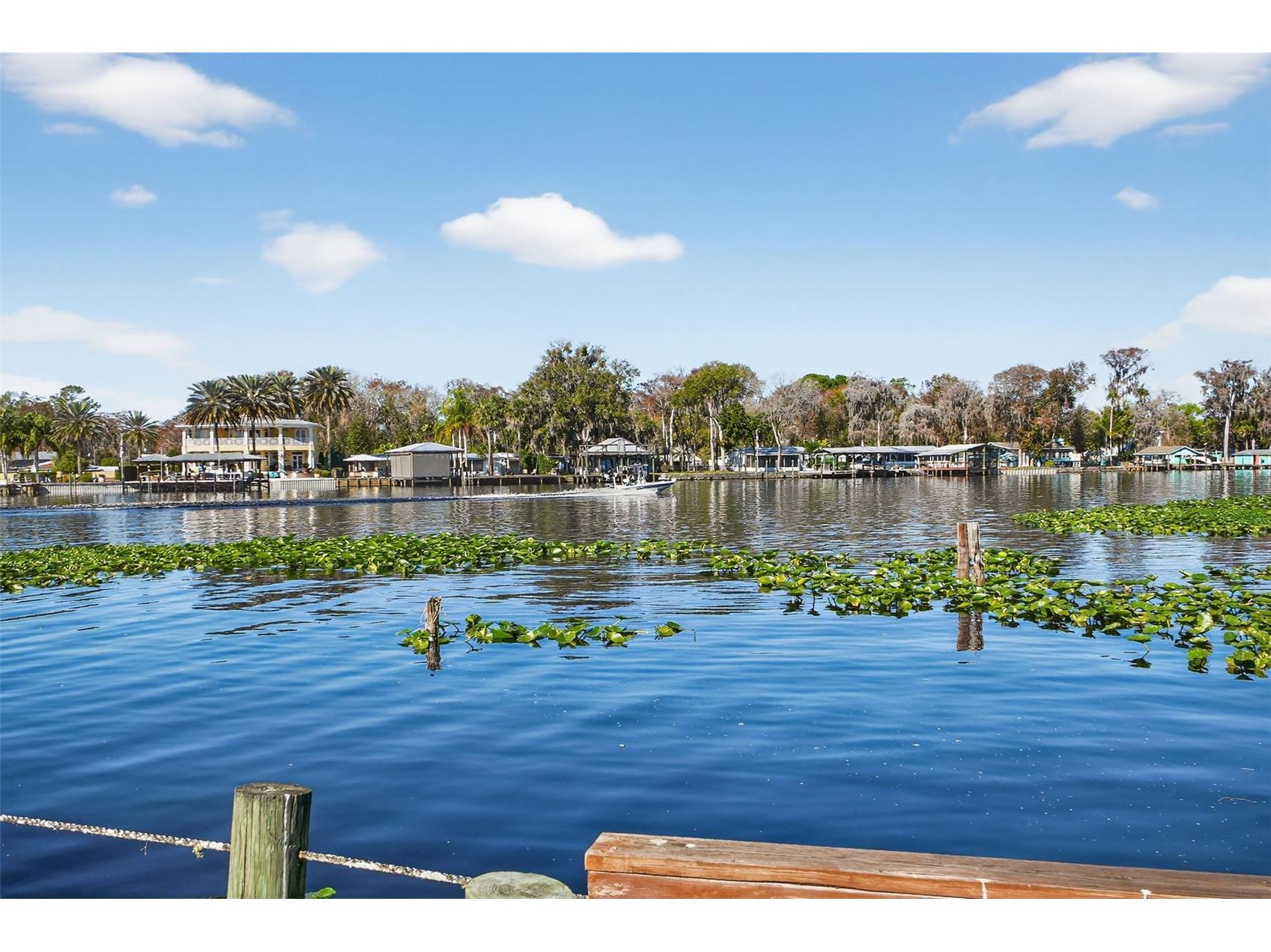 1640 Juno Trail #102A Astor FL 32102 - ST. JOHN'S RIVER V4946984 image4