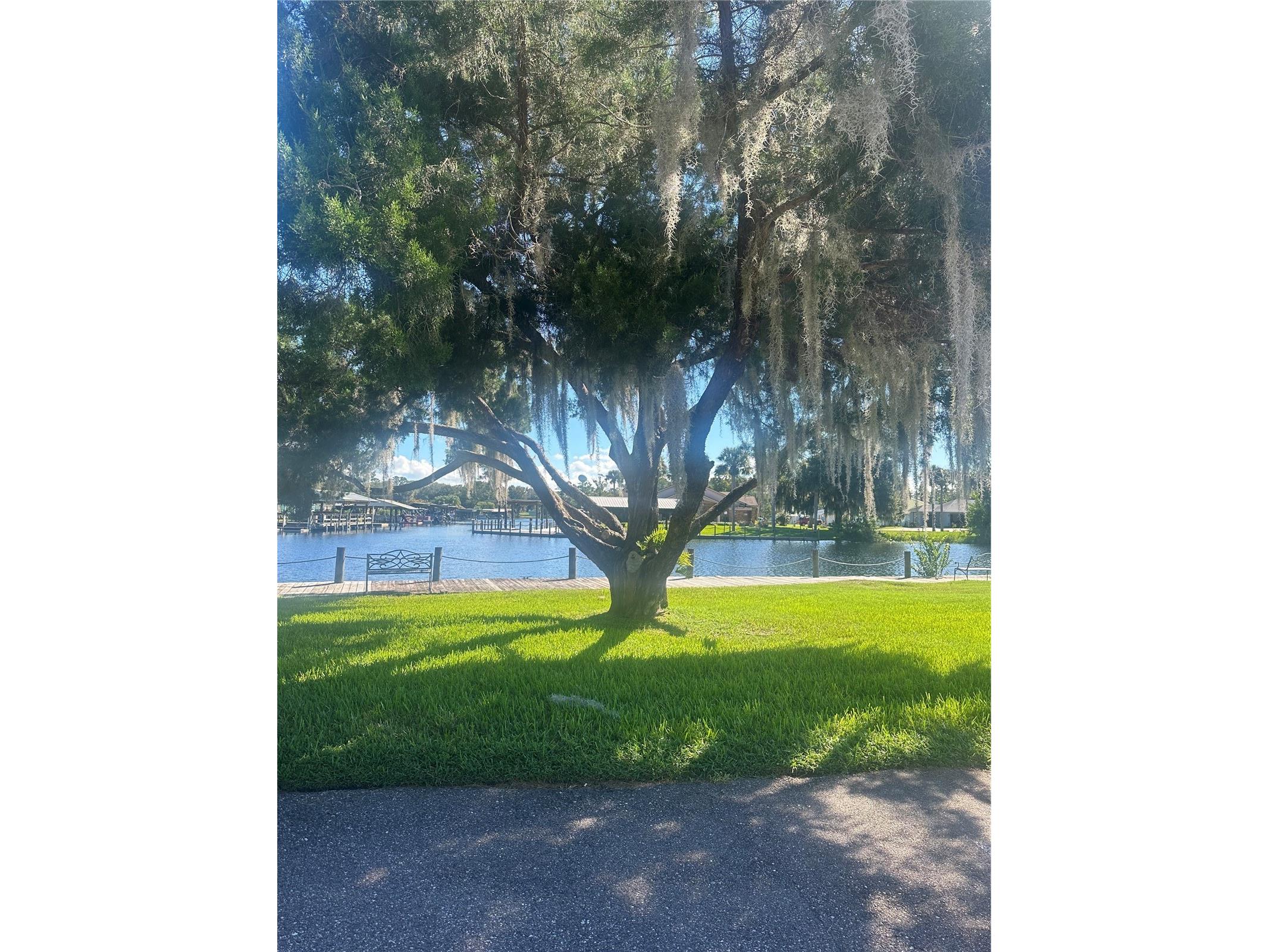 1640 Juno Trail #103F Astor FL 32102 V4946937 image16