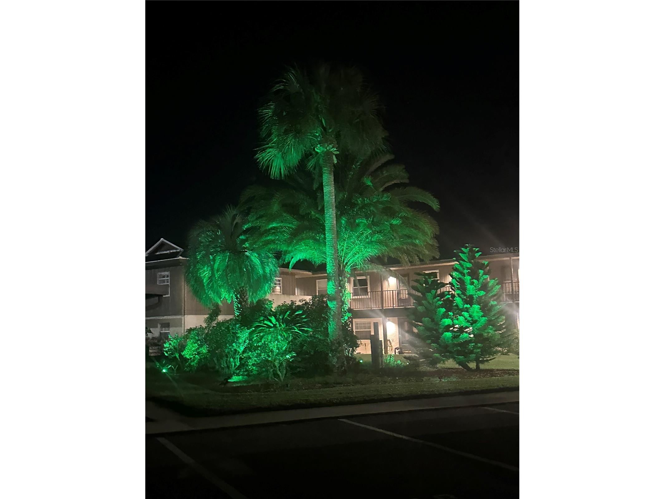 1640 Juno Trail #103F Astor FL 32102 V4946937 image18