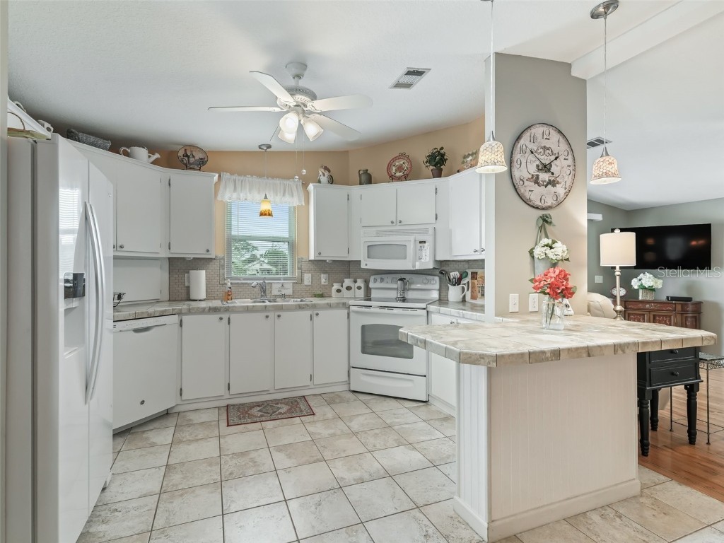 1640 Magnolia Avenue The Villages FL 32159 OM705574 image4