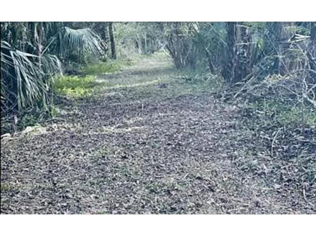 1640 Orange Street Oviedo FL 32765 A4574371 image1