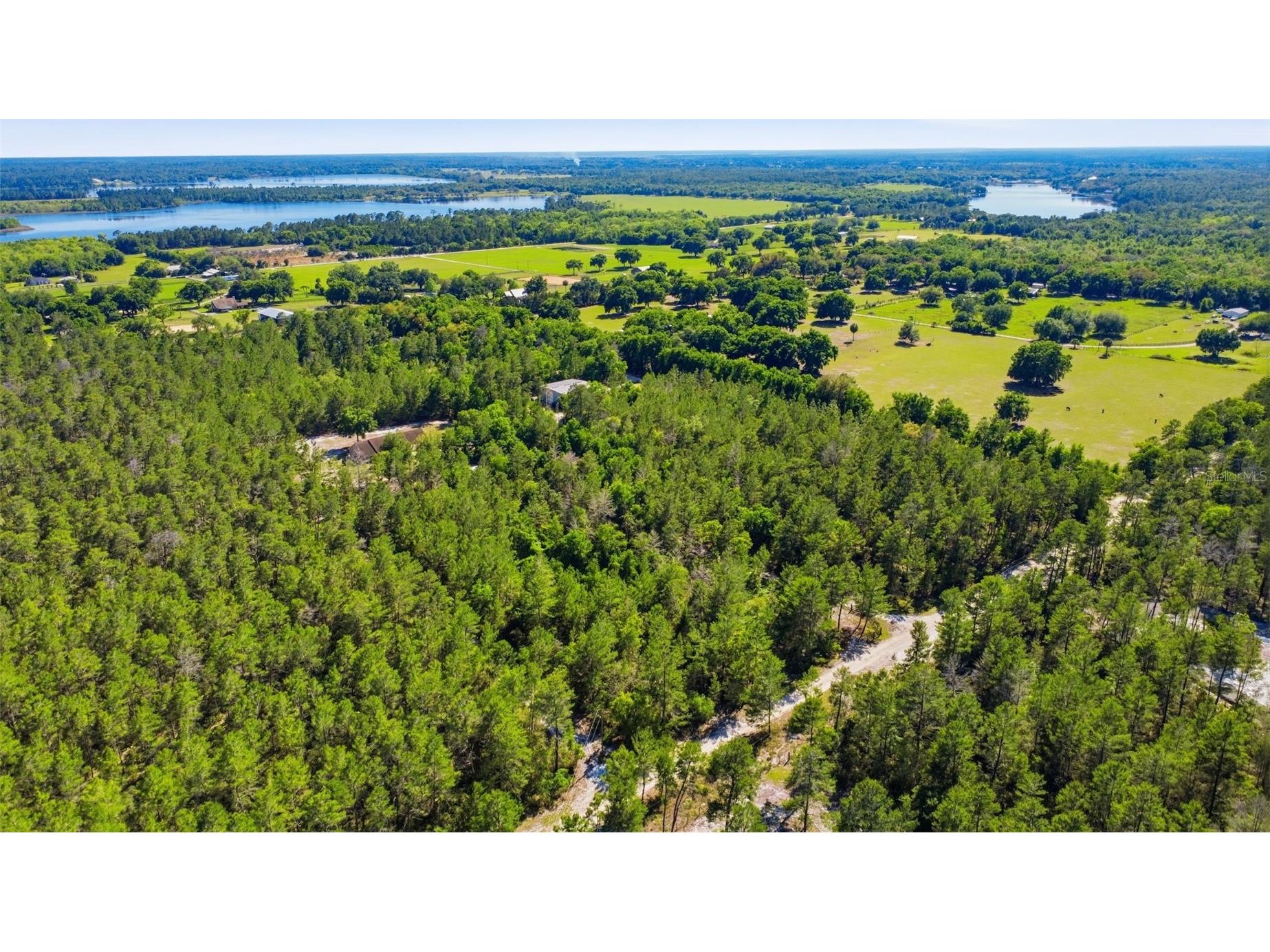 1640 Red Dog Road De Leon Springs FL 32130 V4948584 image12