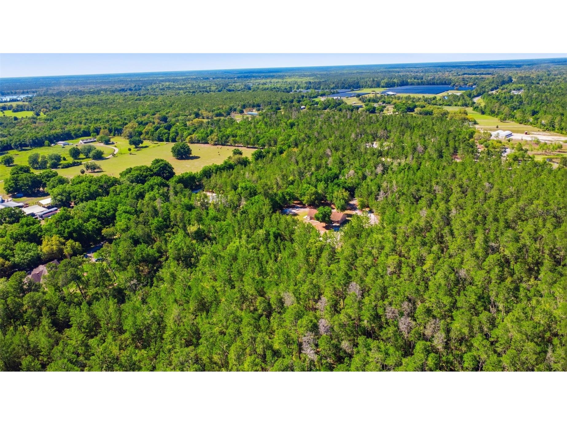 1640 Red Dog Road De Leon Springs FL 32130 V4948584 image14