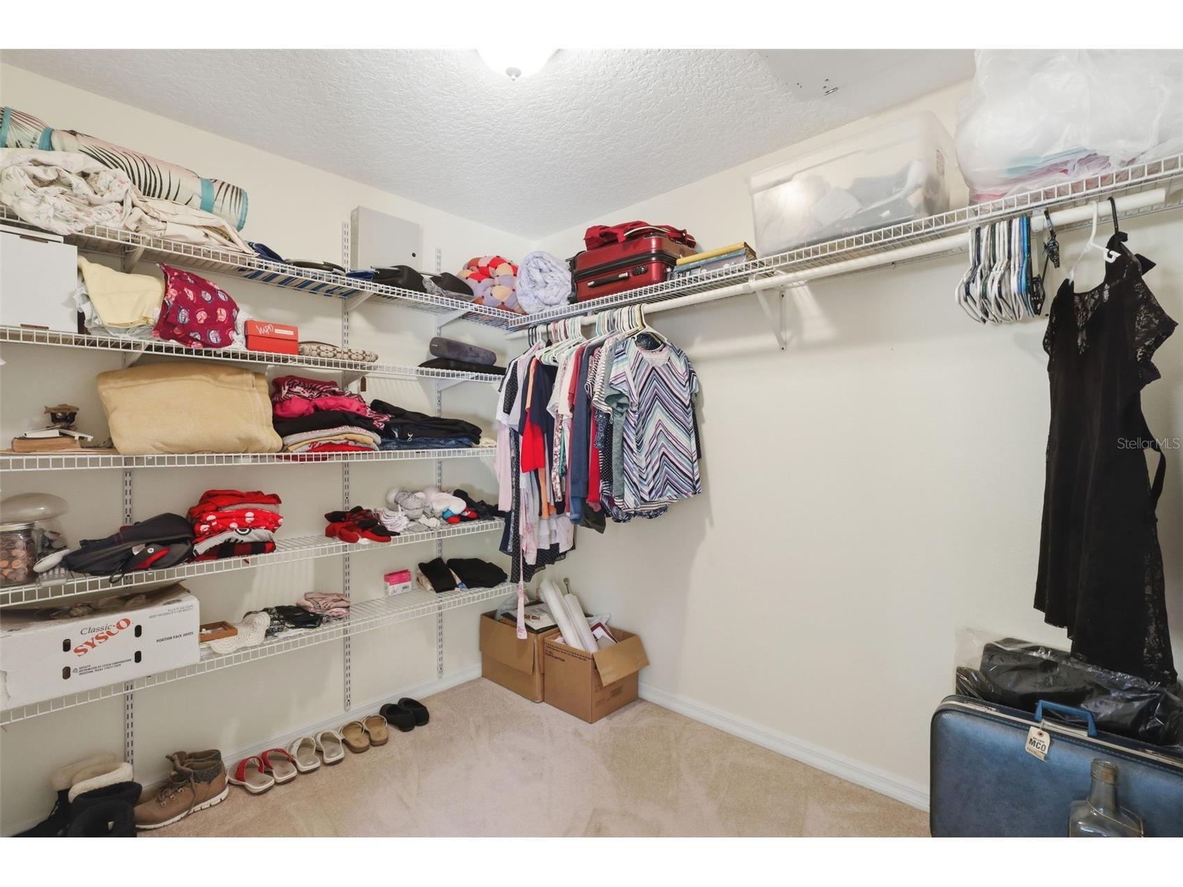 1640 Red Dog Road De Leon Springs FL 32130 V4948584 image42