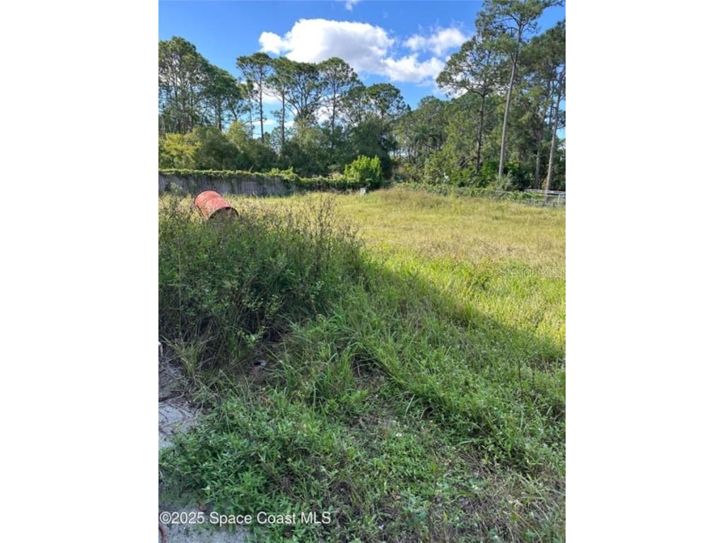 1640 Sandusky Street SE Palm Bay FL 32909 O6358960 image15