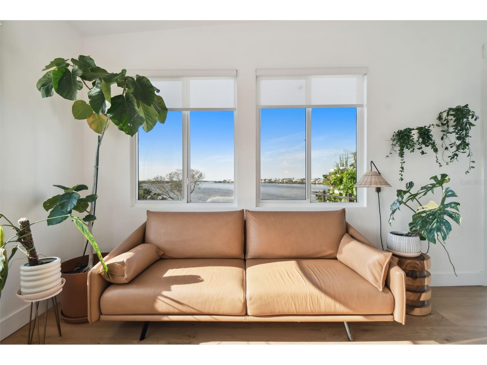 1640 Sea Breeze Drive Tarpon Springs FL 34689 - GULF OF MEXICO TB8346641 image41